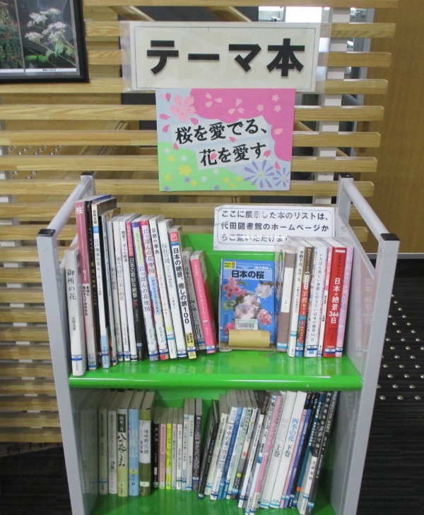桜を愛でる、花を愛すの展示風景