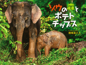 ゾウの森とポテトチップス