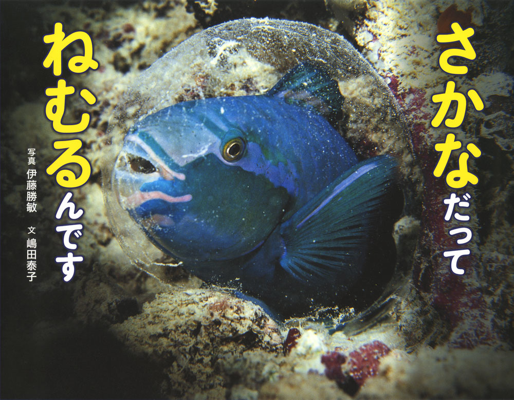 さかなだってねむるんです